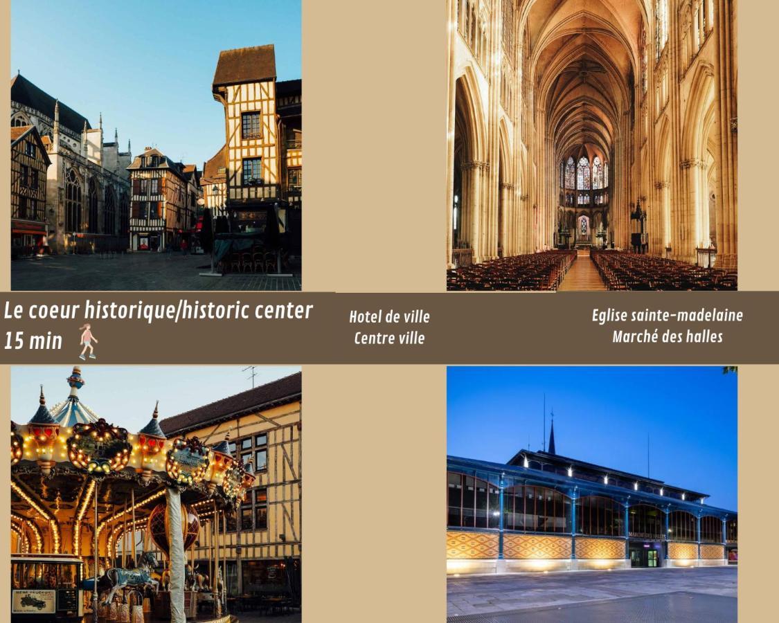Mona Lisa : Superbe Loft Centre Ville - Parking Gratuit - Wifi Ultra Rapide-Appareil Massage-Netflix-Jeu Societe ทรัวส์ ภายนอก รูปภาพ